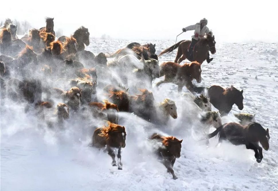 qq_pic_merged_1540911213430 - 副本